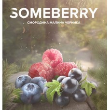 Тютюн 4:20 TEA LINE Смородина малина чорниця - someberry 125gr