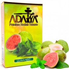 Табак Adalya Guava Mint (Гуава, Мята)