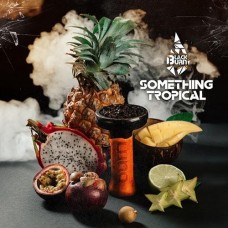 Табак Black Burn Something Tropical (Что-то тропическое) 100g