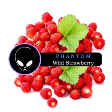 Табак для кальяна PHANTOM WILD STRAWBERRY (Земляника) MEDIUM 100 gr
