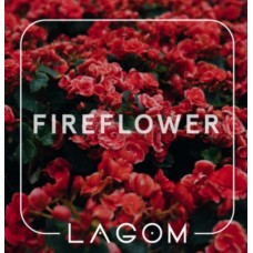 Табак Lagom Main Fireflower (Цветочный аромат с пряностями) 40 gr