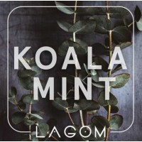 Тютюн Lagom Main Koala Mint (Орбіт з евкаліптом) 40 gr