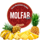 Тютюн Molfar Spirit Line Ананас 40 г