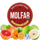 Тютюн Molfar Spirit Line Цитрусовий Пунш 40 г