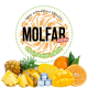 Тютюн Molfar Virginia Line Тропічний Смузі 100 г