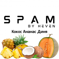 Тютюн Spam Кокос Ананас Диня 100 г
